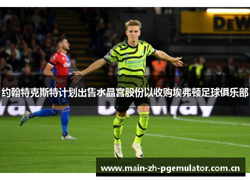 约翰特克斯特计划出售水晶宫股份以收购埃弗顿足球俱乐部 约翰特克斯特计划出售水晶宫股份以收购埃弗顿足球俱乐部