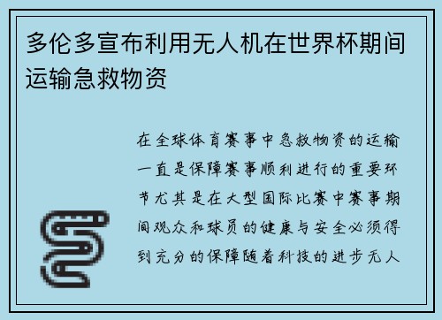 多伦多宣布利用无人机在世界杯期间运输急救物资